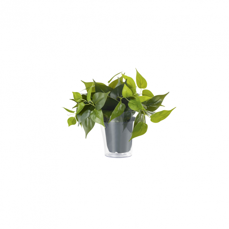 TRIO 92945 Pot de plantes vert PLANT